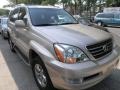 Savannah Beige Metallic - GX 470 Photo No. 3