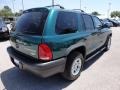 2003 Timberline Green Pearlcoat Dodge Durango SXT  photo #12