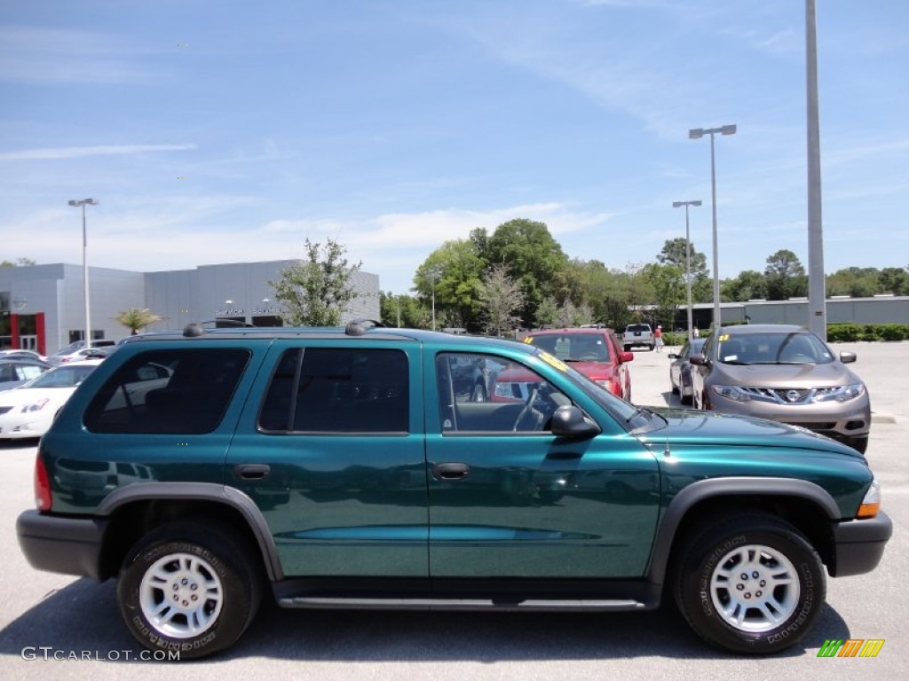 2003 Durango SXT - Timberline Green Pearlcoat / Dark Slate Gray photo #13