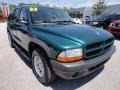 2003 Timberline Green Pearlcoat Dodge Durango SXT  photo #14