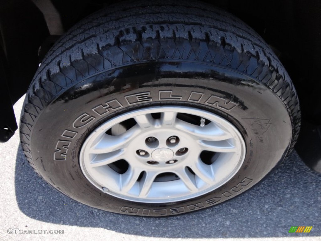 2003 Durango SXT - Timberline Green Pearlcoat / Dark Slate Gray photo #22