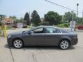 Taupe Gray Metallic - Malibu LS Sedan Photo No. 4