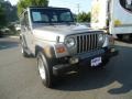 2002 Silverstone Metallic Jeep Wrangler Sport 4x4  photo #1