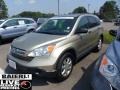 2007 Borrego Beige Metallic Honda CR-V EX 4WD  photo #3