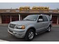 Pewter Metallic 2006 Ford Expedition Limited 4x4