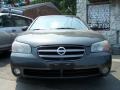 Gray Lustre - Maxima SE Photo No. 2