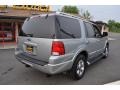 Pewter Metallic - Expedition Limited 4x4 Photo No. 3