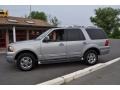 Pewter Metallic - Expedition Limited 4x4 Photo No. 37