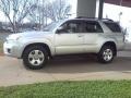 Titanium Metallic - 4Runner SR5 Photo No. 17