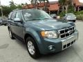 2010 Steel Blue Metallic Ford Escape Limited  photo #2