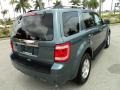 2010 Steel Blue Metallic Ford Escape Limited  photo #6