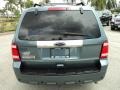 2010 Steel Blue Metallic Ford Escape Limited  photo #7