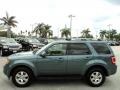 2010 Steel Blue Metallic Ford Escape Limited  photo #10