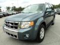 2010 Steel Blue Metallic Ford Escape Limited  photo #14