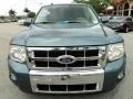 2010 Steel Blue Metallic Ford Escape Limited  photo #15