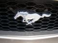 2005 Mineral Grey Metallic Ford Mustang V6 Premium Coupe  photo #30