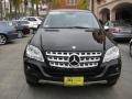 Black - ML 350 4Matic Photo No. 8