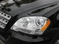 Black - ML 350 4Matic Photo No. 22