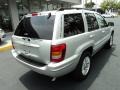 2004 Bright Silver Metallic Jeep Grand Cherokee Limited  photo #4