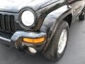 2002 Black Jeep Liberty Limited  photo #4