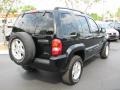 2002 Black Jeep Liberty Limited  photo #10