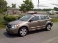 Light Khaki Metallic - Caliber SXT Photo No. 1