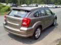 Light Khaki Metallic - Caliber SXT Photo No. 7