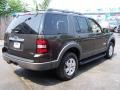 2006 Dark Stone Metallic Ford Explorer XLT 4x4  photo #5