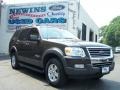 2006 Dark Stone Metallic Ford Explorer XLT 4x4  photo #6