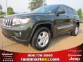 Natural Green Pearl - Grand Cherokee Laredo Photo No. 1