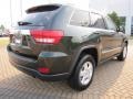 Natural Green Pearl - Grand Cherokee Laredo Photo No. 3