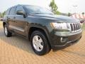 Natural Green Pearl - Grand Cherokee Laredo Photo No. 4