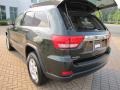 Natural Green Pearl - Grand Cherokee Laredo Photo No. 8