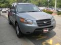 2008 Platinum Sage Hyundai Santa Fe GLS  photo #4