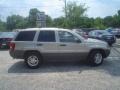 Light Pewter Metallic - Grand Cherokee Laredo Photo No. 4
