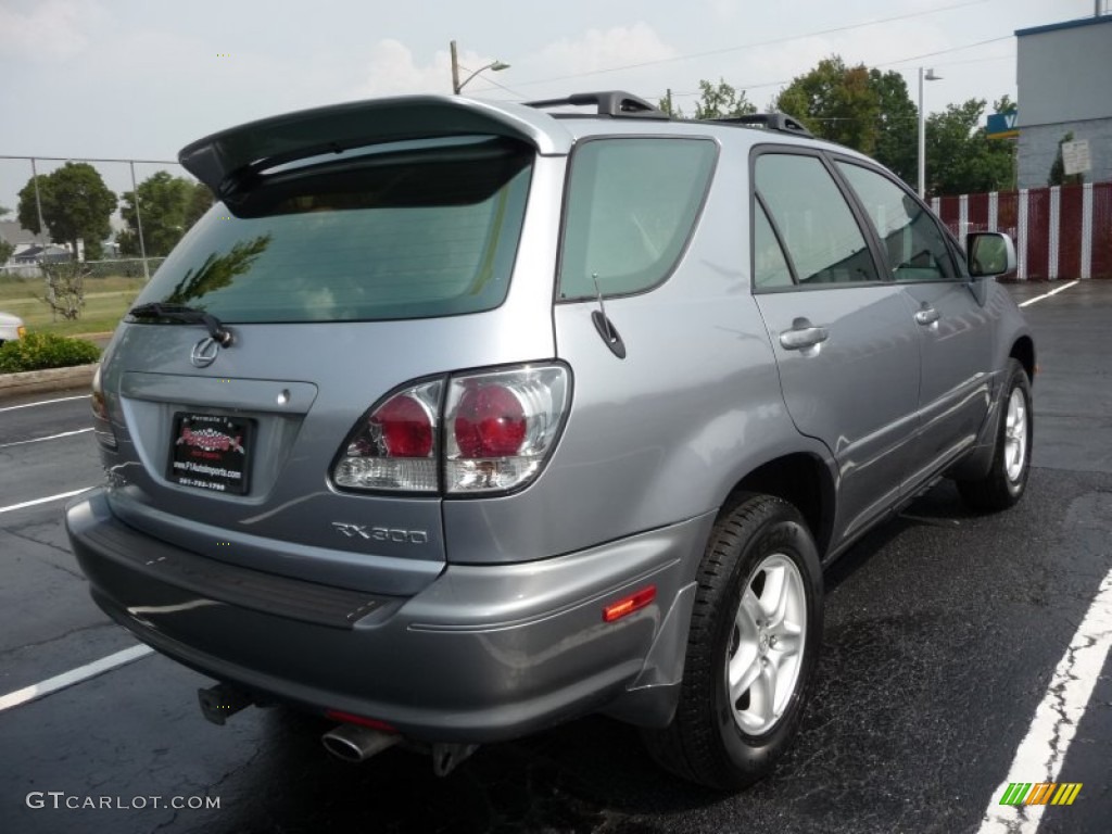 2001 RX 300 AWD - Sunset Mist Pearl / Black photo #3
