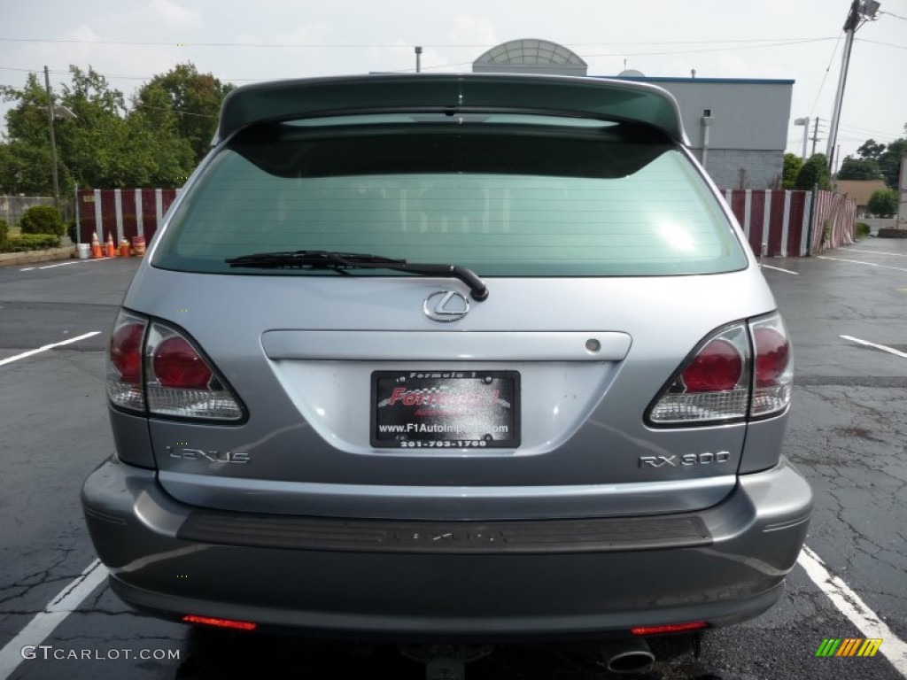 2001 RX 300 AWD - Sunset Mist Pearl / Black photo #12