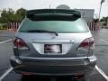 2001 Sunset Mist Pearl Lexus RX 300 AWD  photo #12