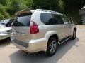 Savannah Beige Metallic - GX 470 Photo No. 2