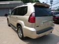 Savannah Beige Metallic - GX 470 Photo No. 4