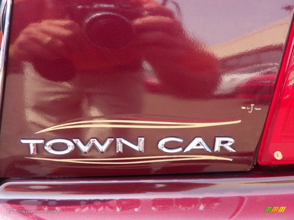 2006 Town Car Designer Series - Dark Cherry Metallic / Light Camel photo #11
