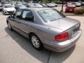 Steel Gray - Sonata LX V6 Photo No. 5