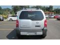 Silver Lightning - Xterra S 4x4 Photo No. 4