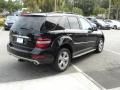 2011 Black Mercedes-Benz ML 350 BlueTEC 4Matic  photo #7