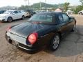 Evening Black 2002 Ford Thunderbird Premium Roadster Exterior