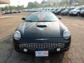 Evening Black - Thunderbird Premium Roadster Photo No. 7