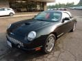 Evening Black 2002 Ford Thunderbird Premium Roadster Exterior