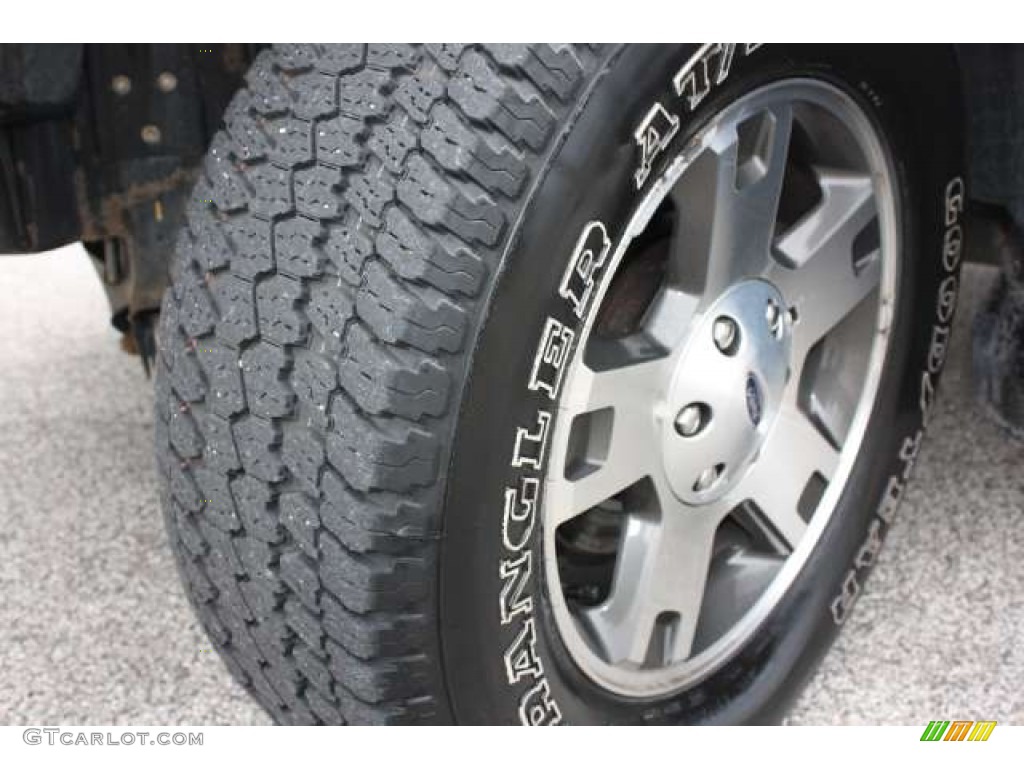 2004 F150 FX4 SuperCab 4x4 - True Blue Metallic / Black/Medium Flint photo #9