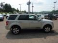 2008 Light Sage Metallic Ford Escape Limited 4WD  photo #5