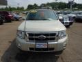 2008 Light Sage Metallic Ford Escape Limited 4WD  photo #7